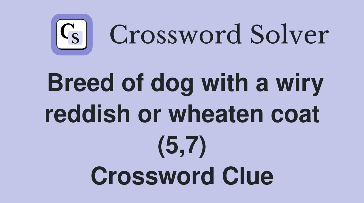 Breed of dog with a wiry reddish or wheaten coat (5,7) Crossword Clue